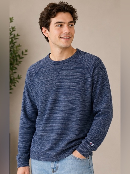 Champion Other - Champion Men’s Blue Heather Stripe Crewneck Large Pullover